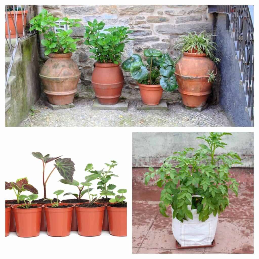 Terrace Garden Planters