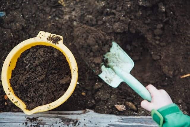 Result of How to make compost at home step by step - Ready compost