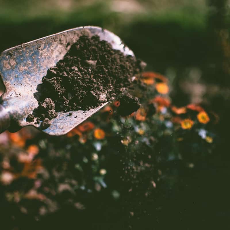 Terrace Garden Soil