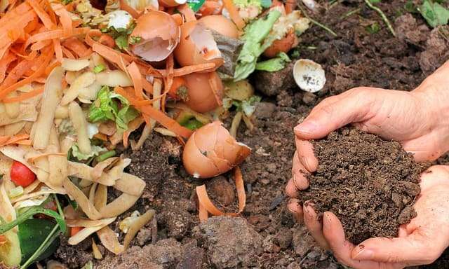 How to make compost at home step by step