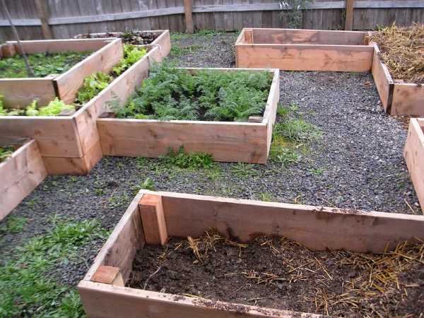 small potager garden raised bed