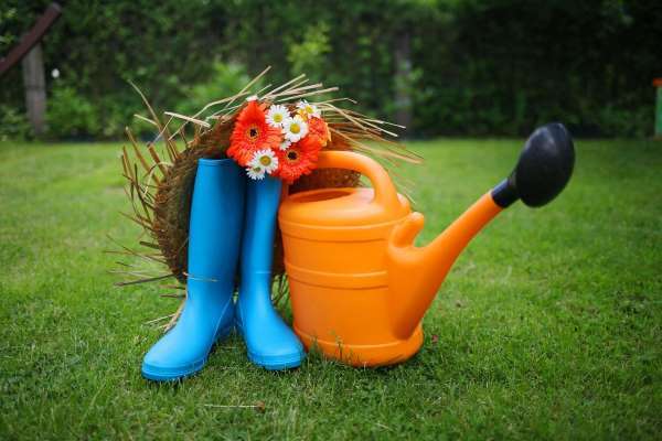 small potager garden design watering