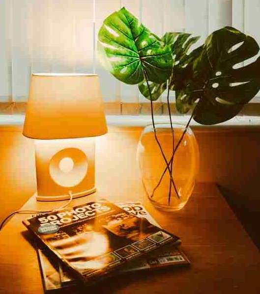 indoor plant light