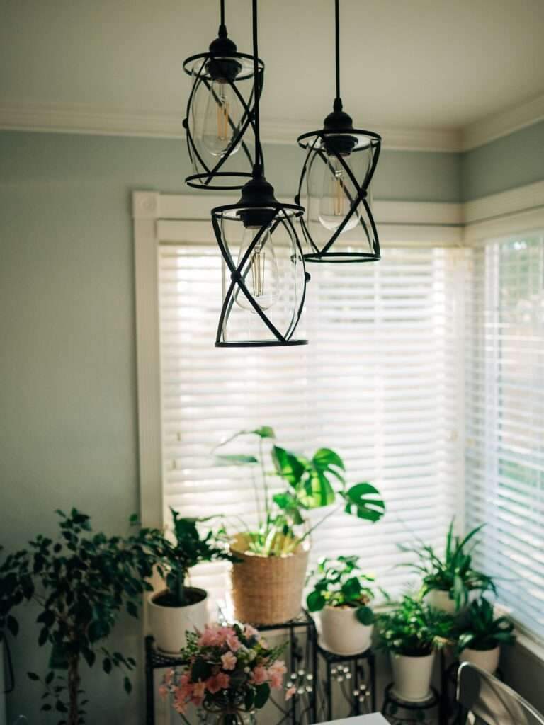 do regular light bulbs help plants grow