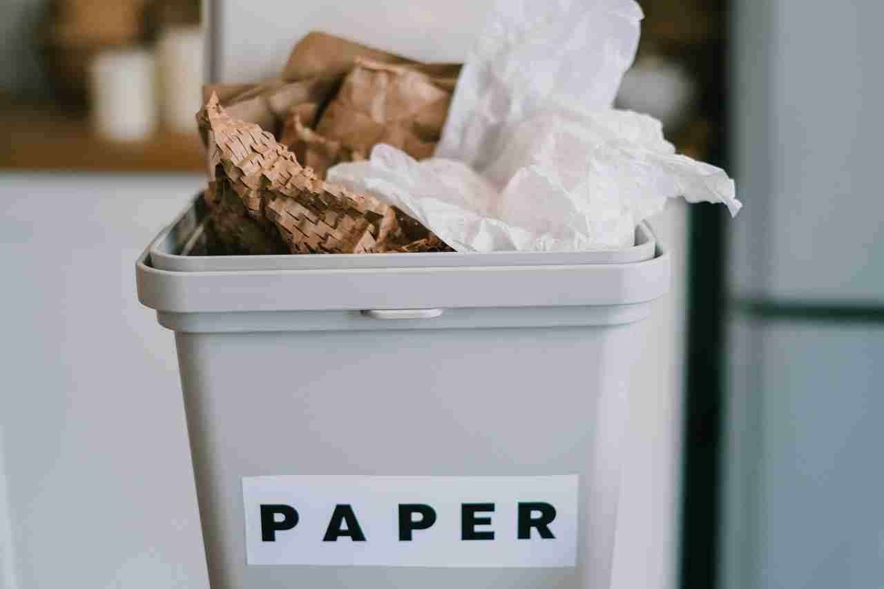 Here's How! Can You Compost Paper Towels? Read Organic